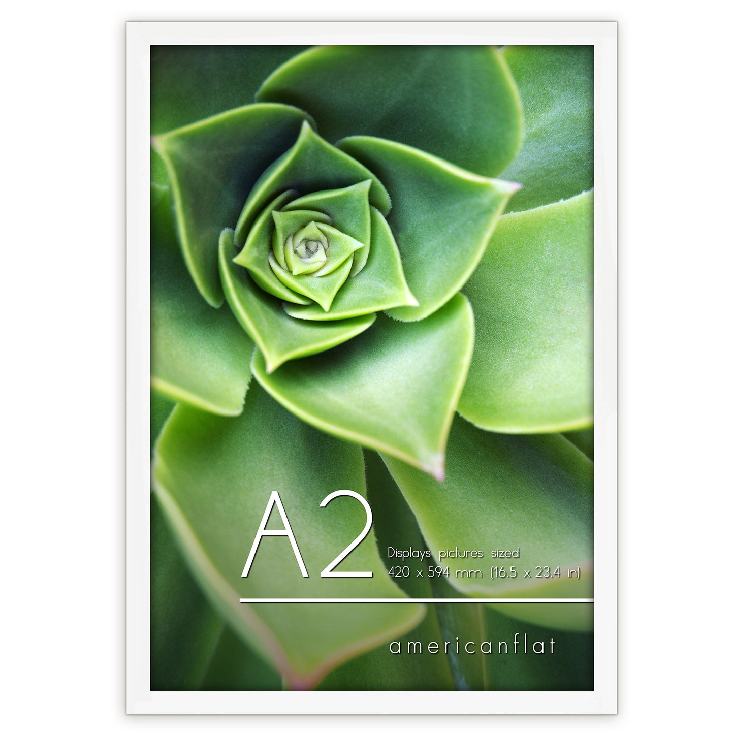Americanflat | A2 Picture Frame with Polished Plexiglass | 16.5x23.4 Frame with Engineered Wood | Signature Collection | A2 Frames for Wall Display | White