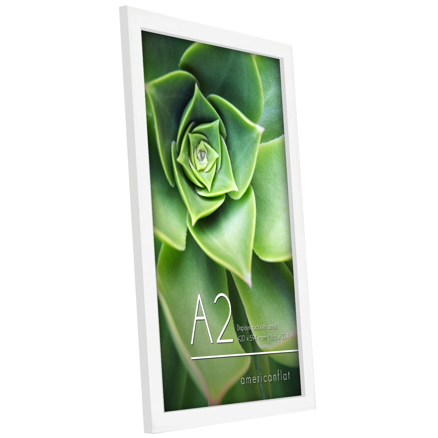 Americanflat | A2 Picture Frame with Polished Plexiglass | 16.5x23.4 Frame with Engineered Wood | Signature Collection | A2 Frames for Wall Display | White