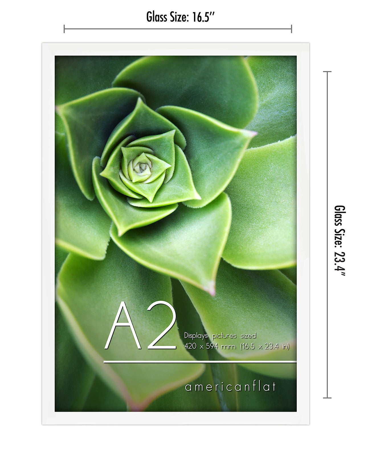 Americanflat | A2 Picture Frame with Polished Plexiglass | 16.5x23.4 Frame with Engineered Wood | Signature Collection | A2 Frames for Wall Display | White