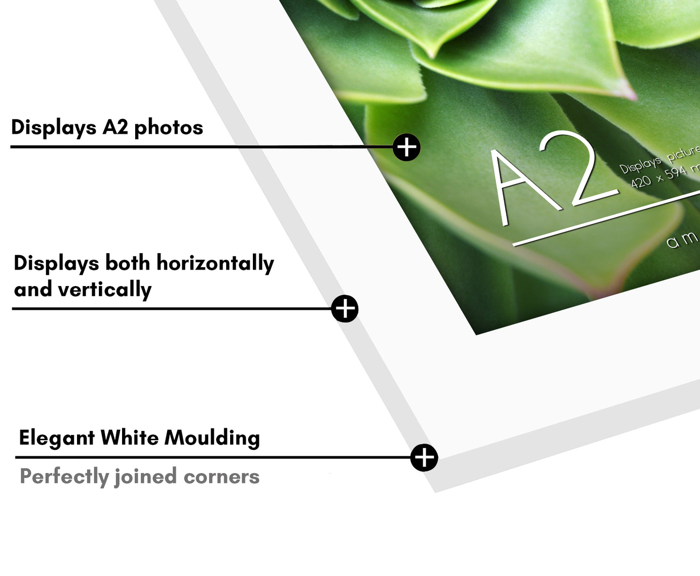 Americanflat | A2 Picture Frame with Polished Plexiglass | 16.5x23.4 Frame with Engineered Wood | Signature Collection | A2 Frames for Wall Display | White