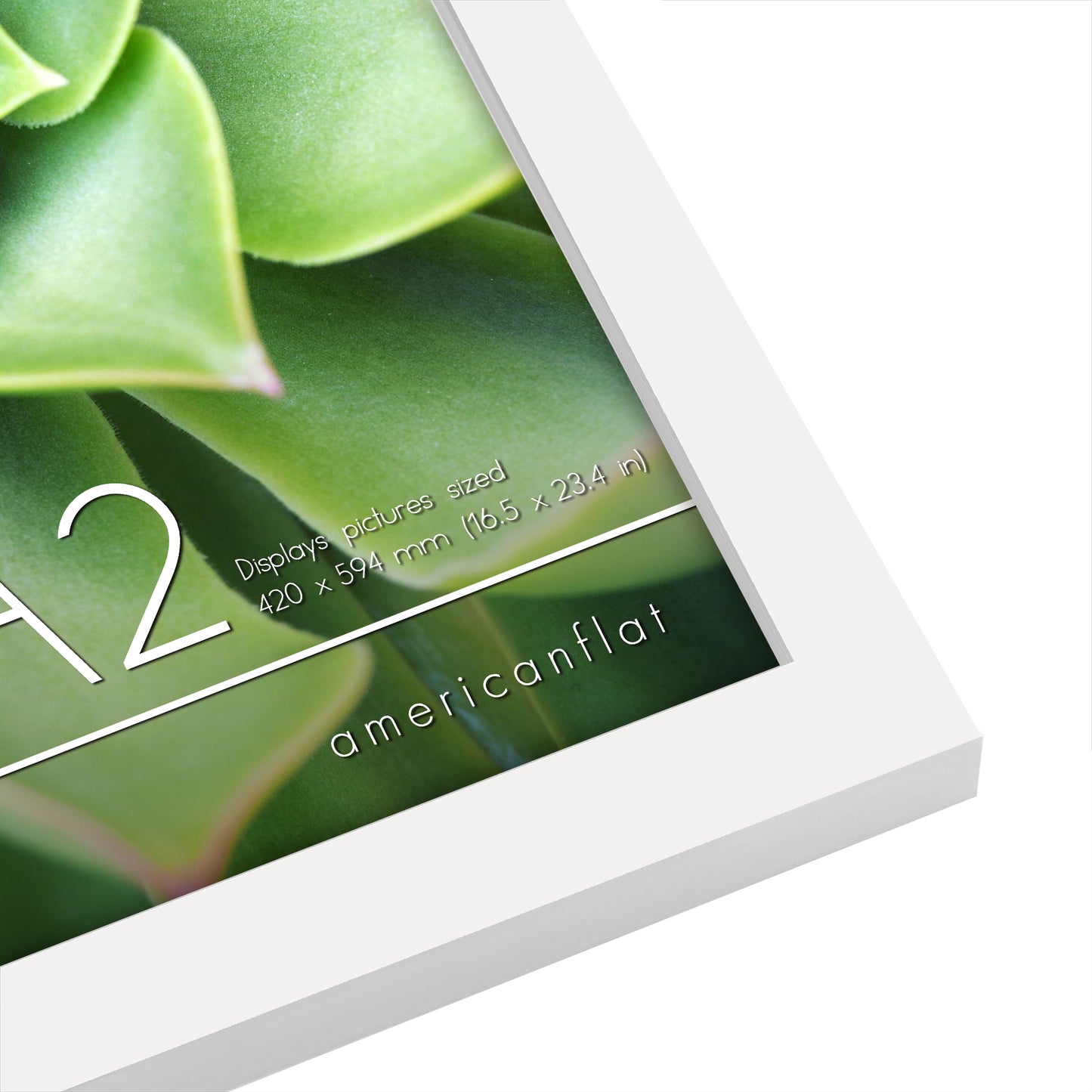 Americanflat | A2 Picture Frame with Polished Plexiglass | 16.5x23.4 Frame with Engineered Wood | Signature Collection | A2 Frames for Wall Display | White