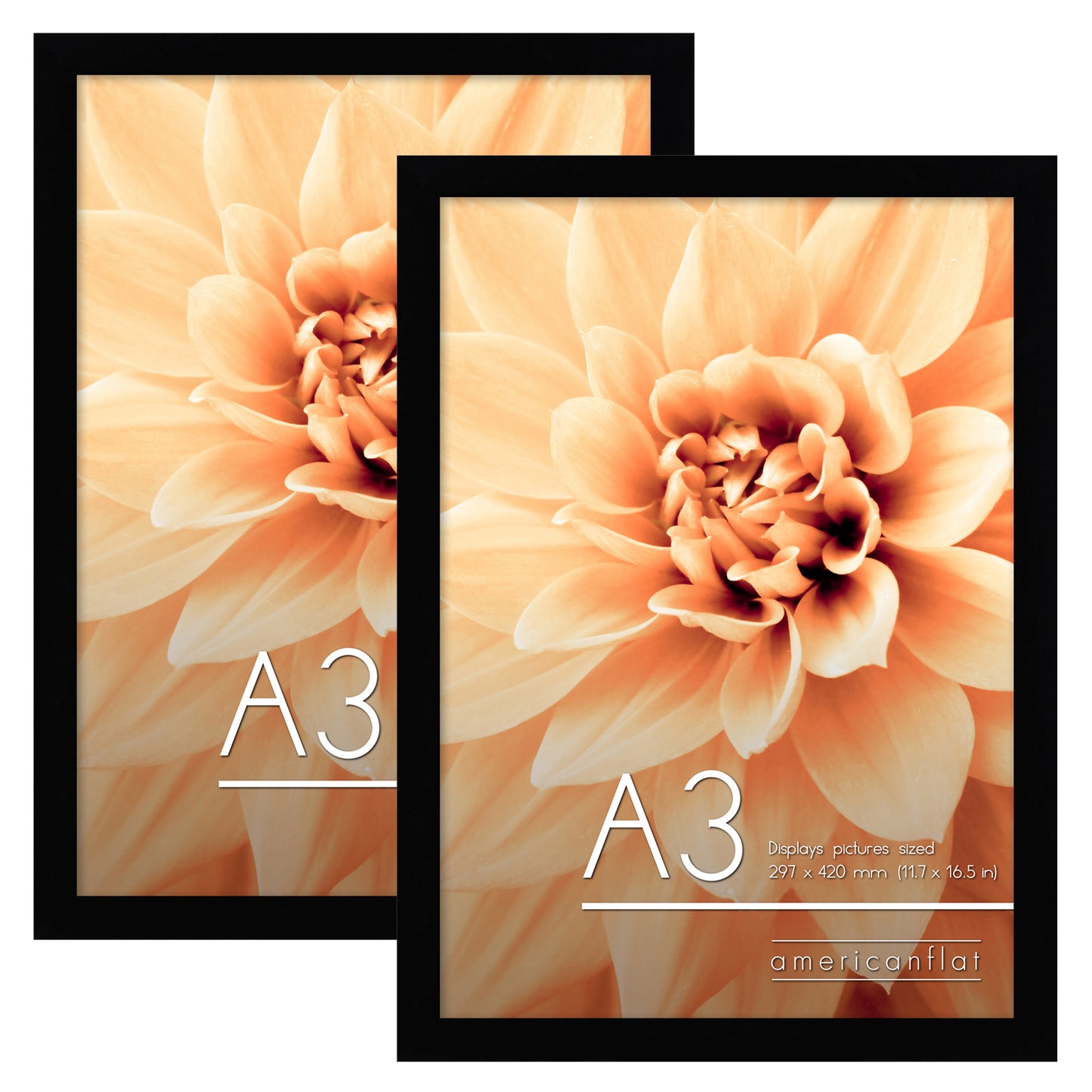 Americanflat | A3 Picture Frame with Shatter-Resistant Glass | Set of 2 | 11.7x16.5 Frame with Engineered Wood | Signature Collection | A3 Frames for Wall Display | Black
