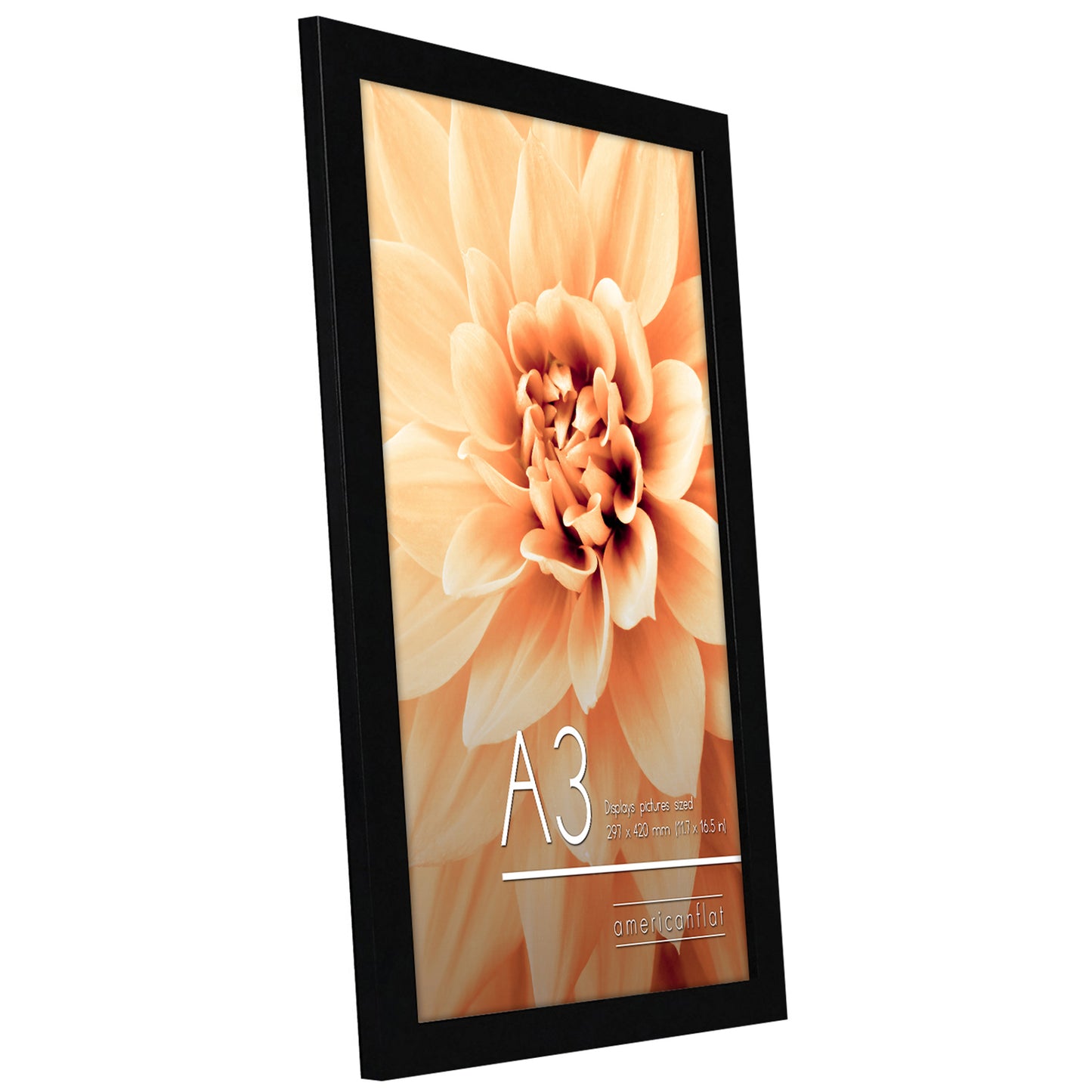 Americanflat | A3 Picture Frame with Shatter-Resistant Glass | Set of 2 | 11.7x16.5 Frame with Engineered Wood | Signature Collection | A3 Frames for Wall Display | Black