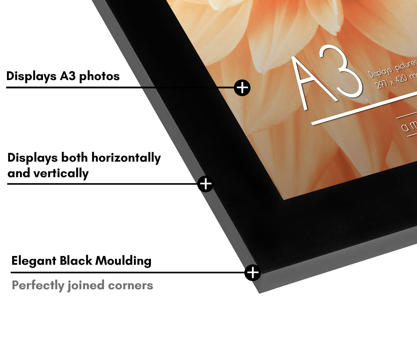 Americanflat | A3 Picture Frame with Shatter-Resistant Glass | Set of 2 | 11.7x16.5 Frame with Engineered Wood | Signature Collection | A3 Frames for Wall Display | Black