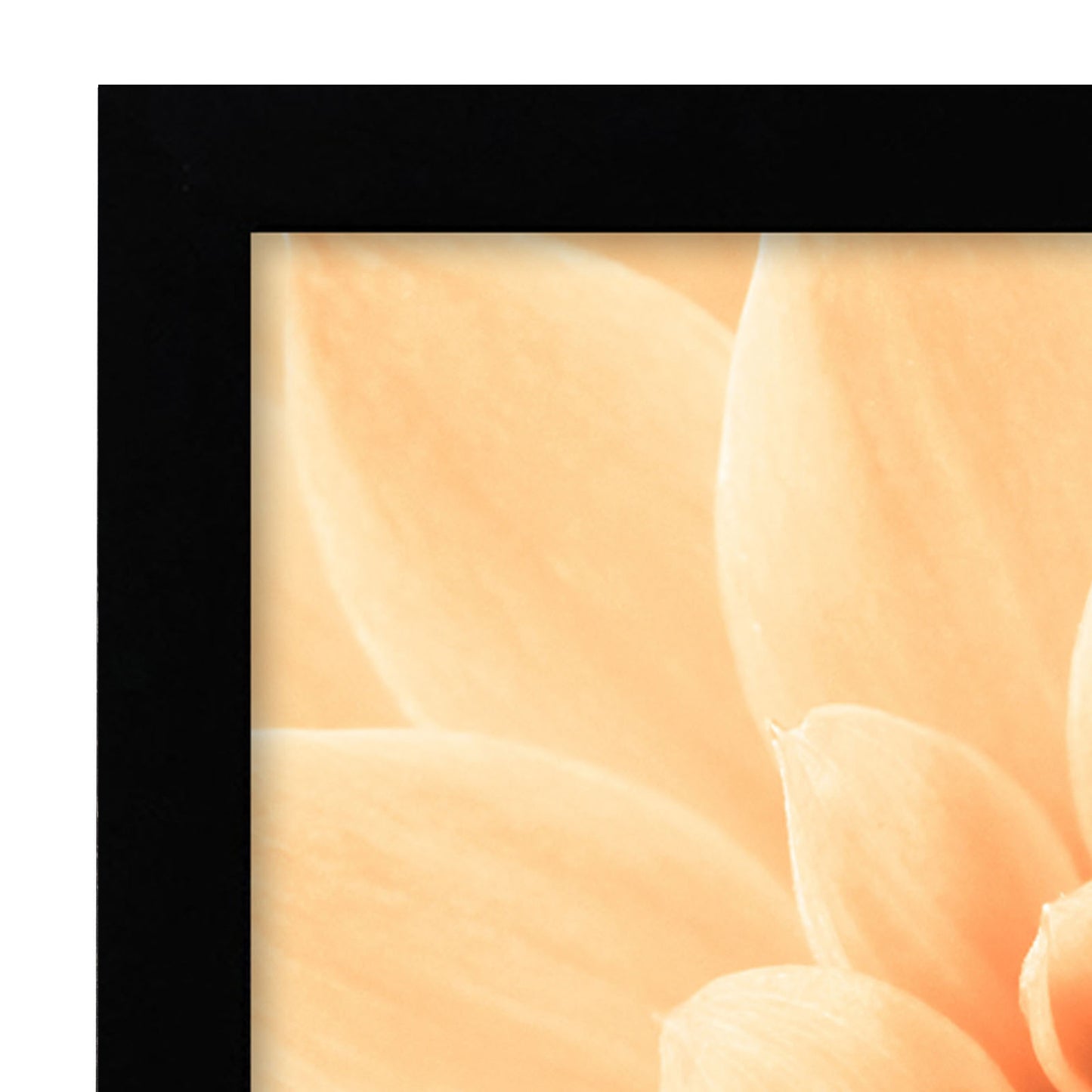Americanflat | A3 Picture Frame with Shatter-Resistant Glass | Set of 2 | 11.7x16.5 Frame with Engineered Wood | Signature Collection | A3 Frames for Wall Display | Black