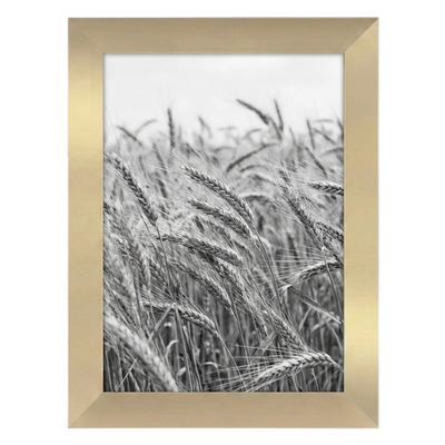 A-Size Picture Frame — A3 (11.7x16.5) / Gold / 1 Pack