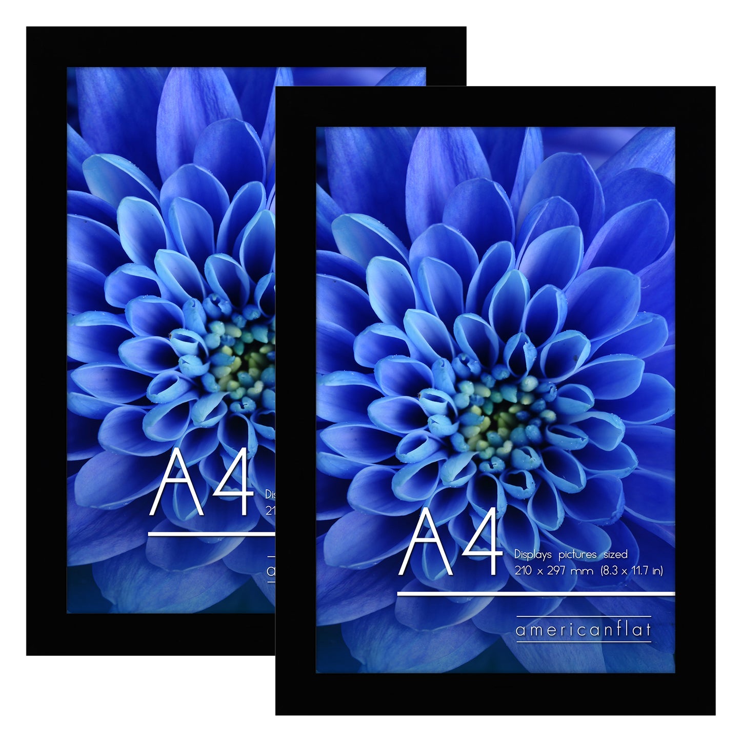 Americanflat | A4 Picture Frame with Shatter-Resistant Glass | Set of 2 - 8.3x11.7 Frame with Engineered Wood | Signature Collection | A4 Frames for Tabletop and Wall Display | Black