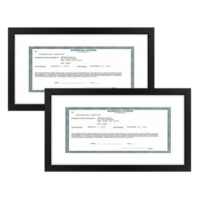 Business License Frame | Professional Display — 5x10 / Black / 2 Pack