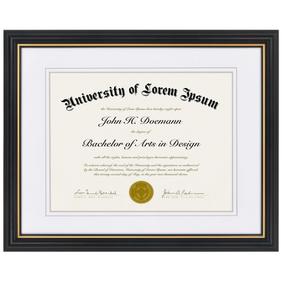 Legacy Matted Document Frame — 11x14 / Black & Gold with White Mat / 1 Pack