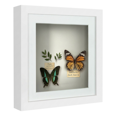 Silhouette Matted Keepsake Shadow Box — 8x8 / White