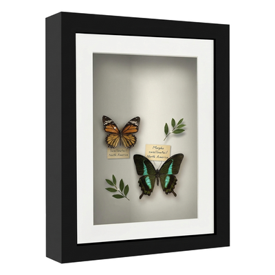 Silhouette Matted Keepsake Shadow Box — 8x10 / Black