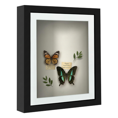 Silhouette Matted Keepsake Shadow Box — 10x12 / Black