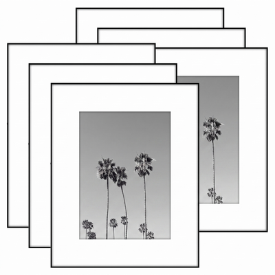 Metropolitan Picture Frame — 8x10 / 6 Pack / Matted