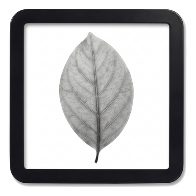 Mod Black Picture Frame — Black / 12x12 / 8x8