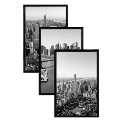 Fusion Picture Frame — 11x17 / Black / 3 Pack