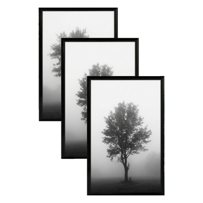 Fusion Picture Frame — 20x30 / Black / 3 Pack