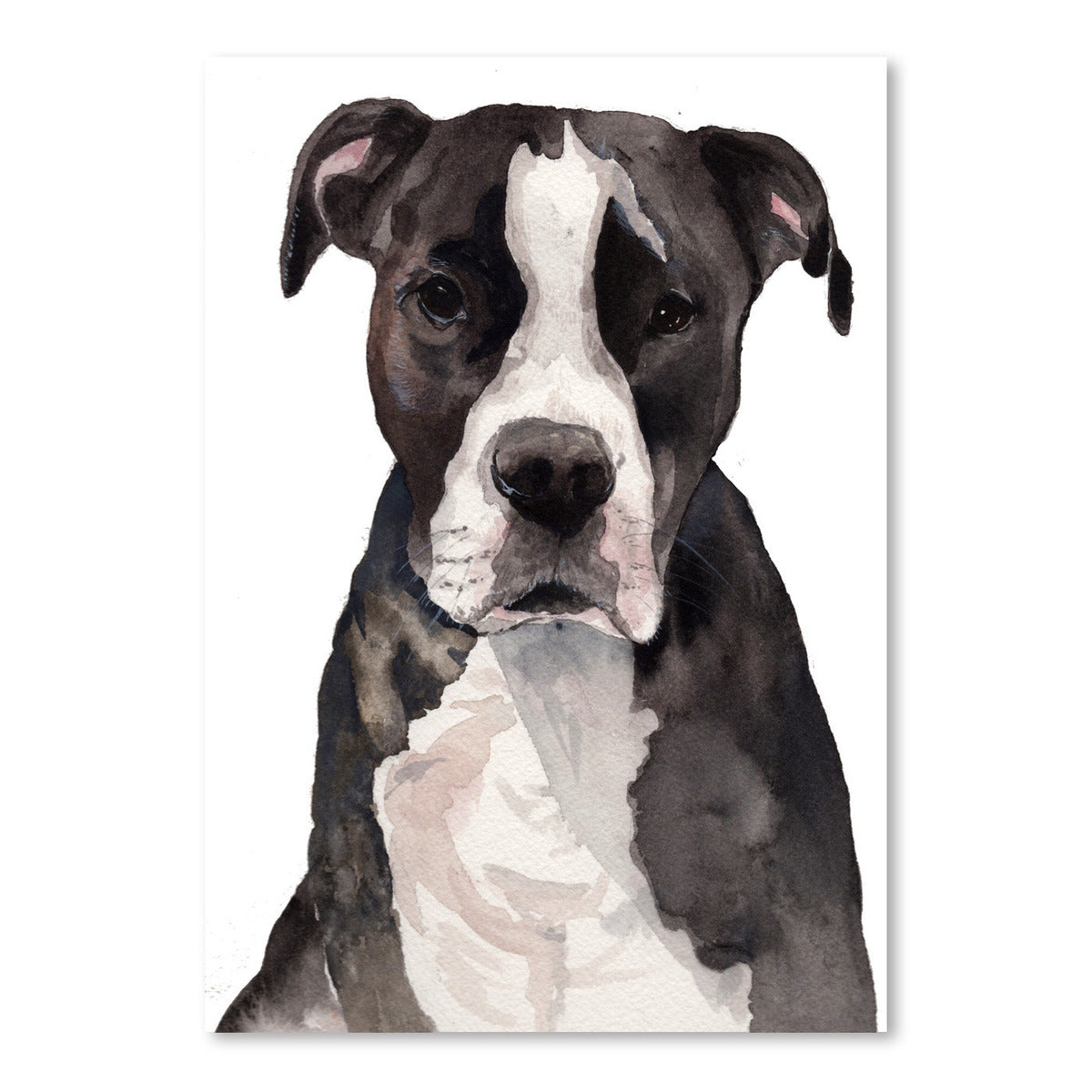 Empire Art Direct Pitbull Black and White Pet Paintings on
