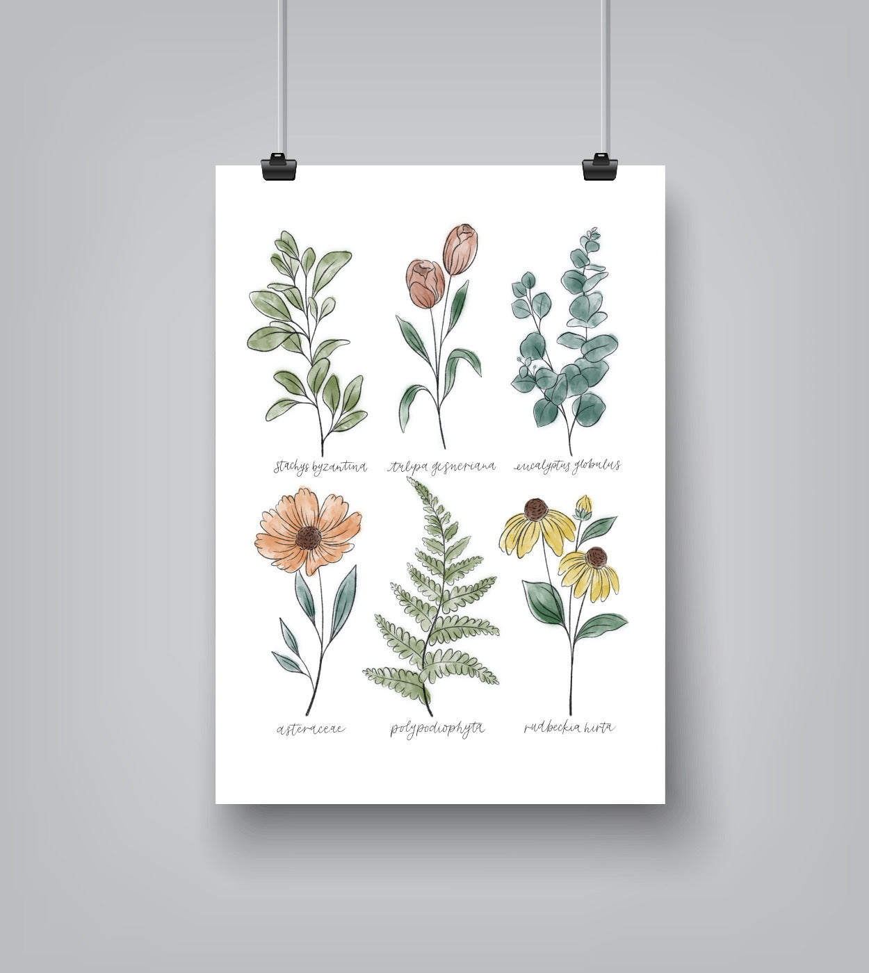 Americanflat Botanical 12x16 Poster - Tiny House Plants Watercolor Wall Art Room Decor by Pauline Stanley