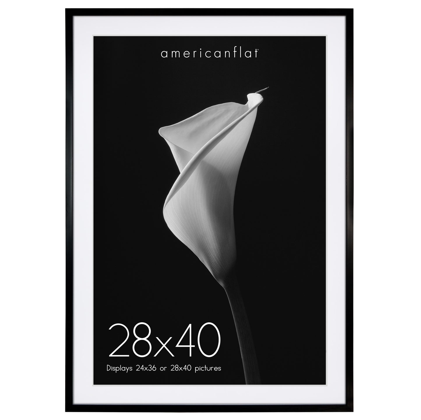 Gallery Picture Frame with Mat | Soho Collection