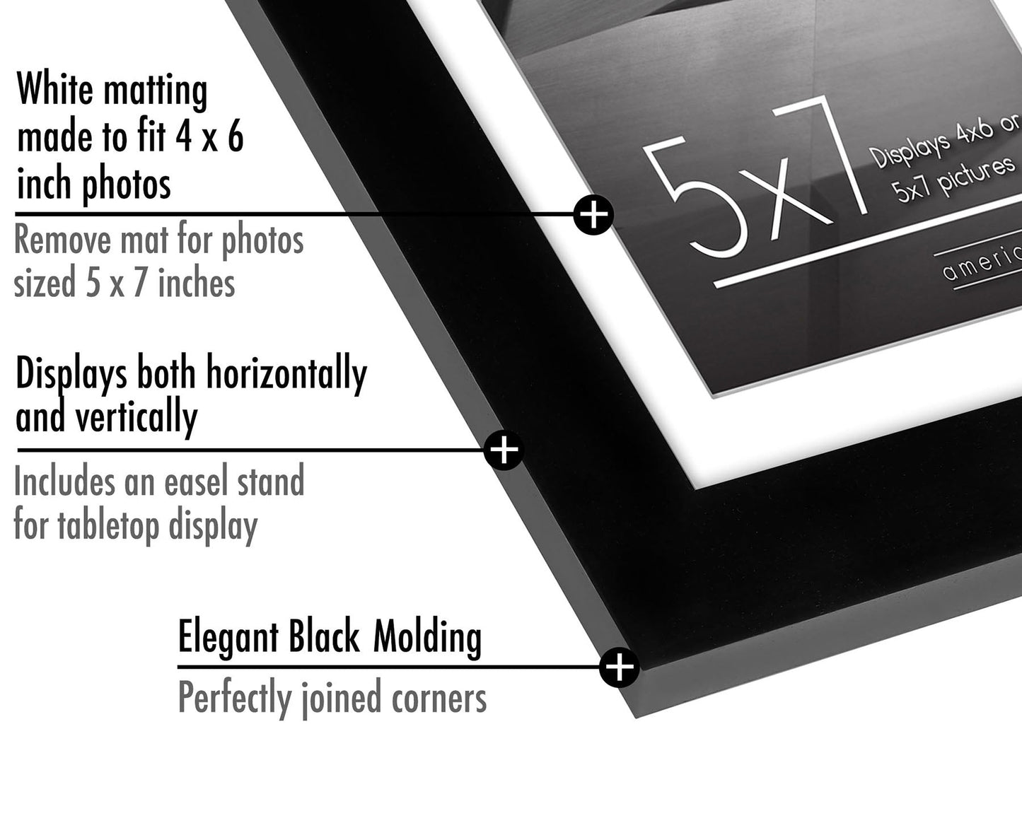 Picture Frame | Set of 2 | Slim Molding | Streamline Collection