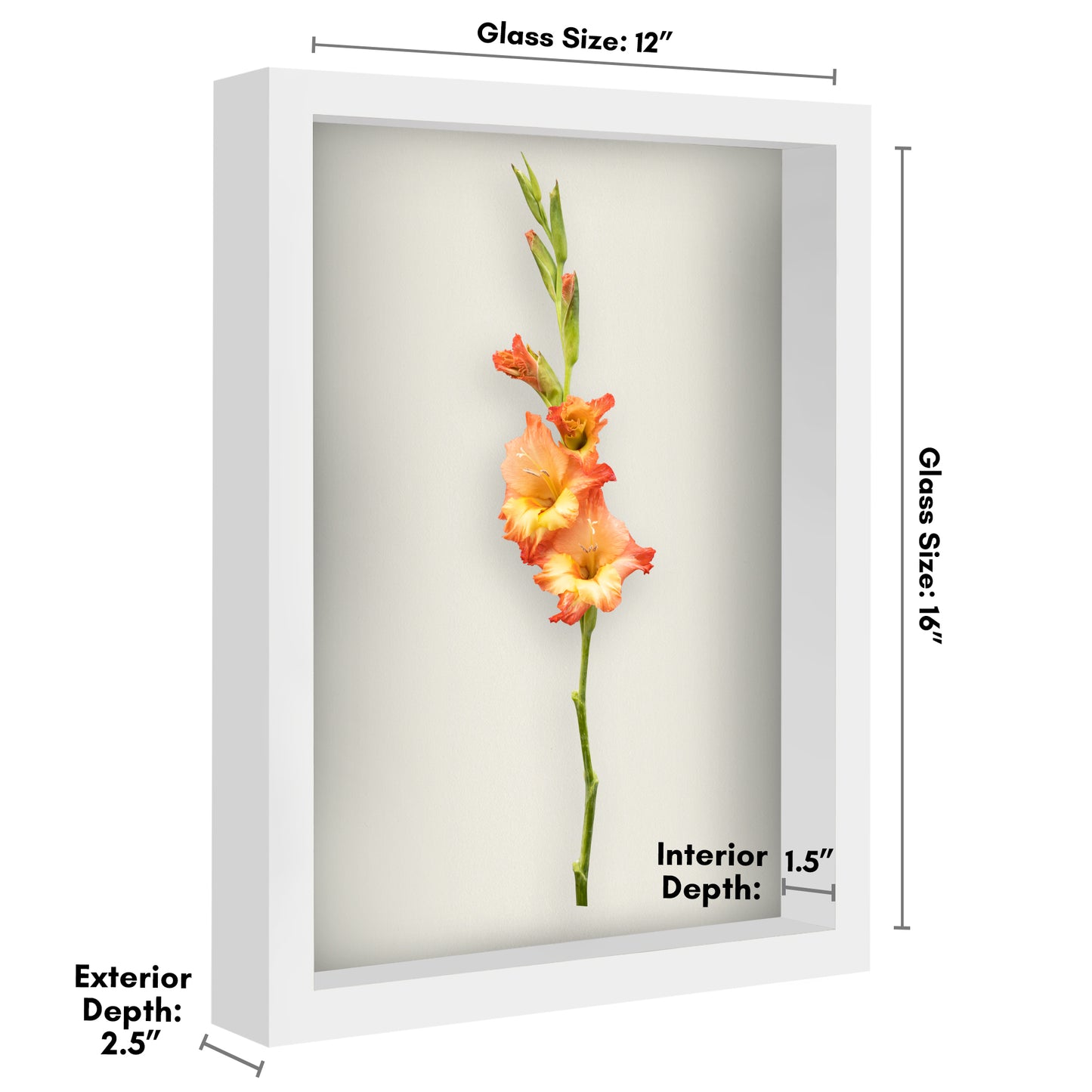 Shadow Box Keepsake Frame with Linen Back | Silhouette Collection