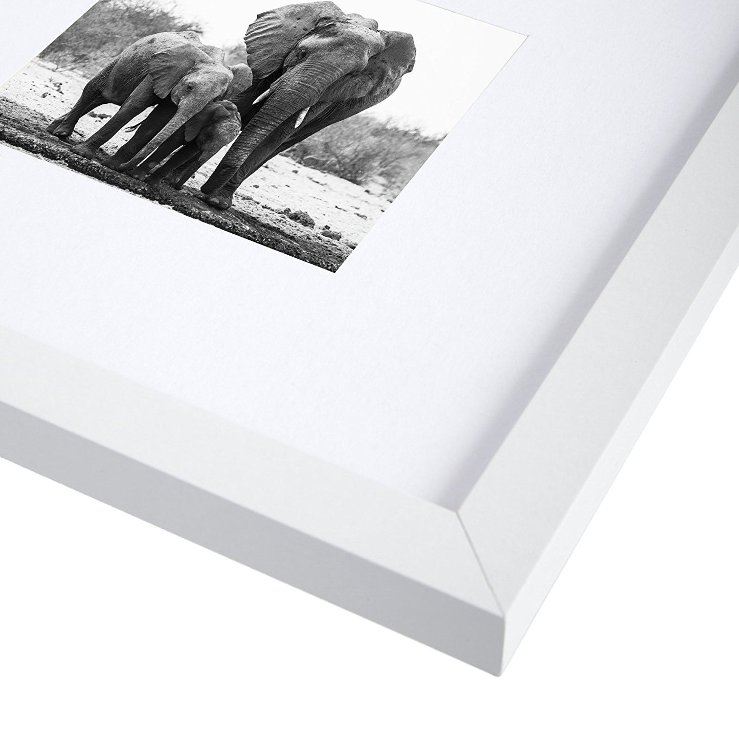 Americanflat Picture Frame | Includes Mat | Classic Molding | Signature Collection