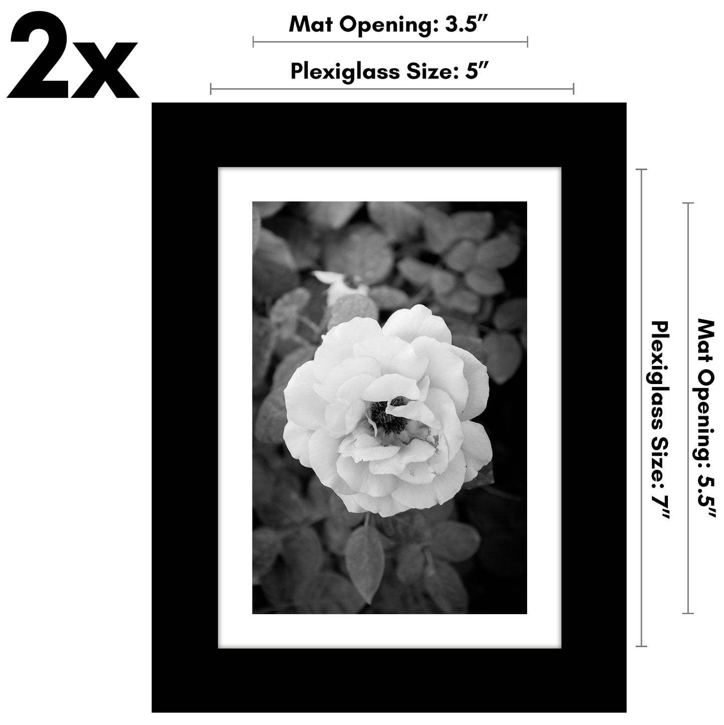Set of 2 - Classic Gallery Picture Frame with Mat | Galleria Collection