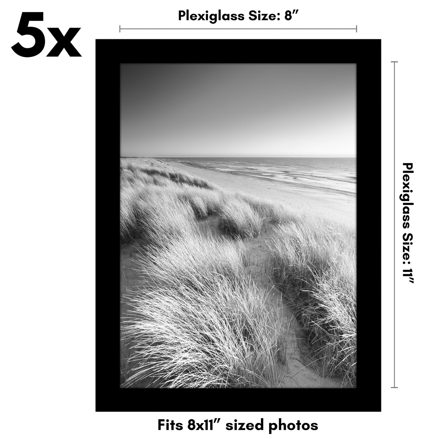 Set of 5 - Classic Gallery Picture Frame without Mat | Galleria Collection