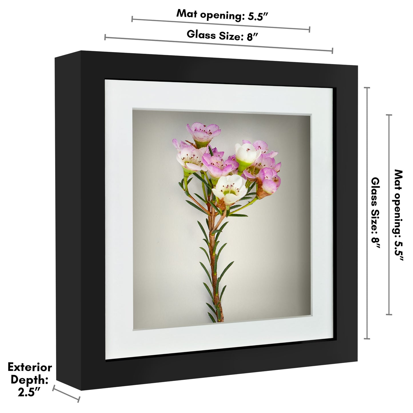 Shadow Box Keepsake Frame with Mat | Silhouette Collection