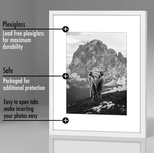 Set of 2 - Classic Gallery Picture Frame with Mat | Galleria Collection