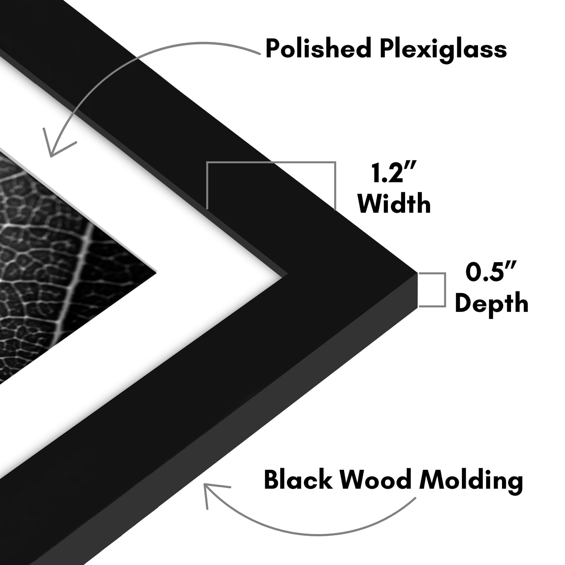 WB2024BLK1620