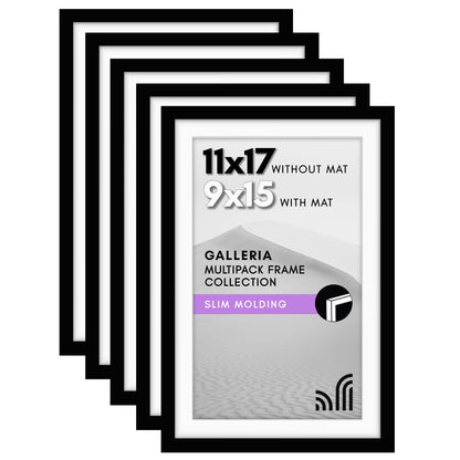 Classic Gallery Picture Frame | Set of 5 | Galleria Collection | Includes Mat