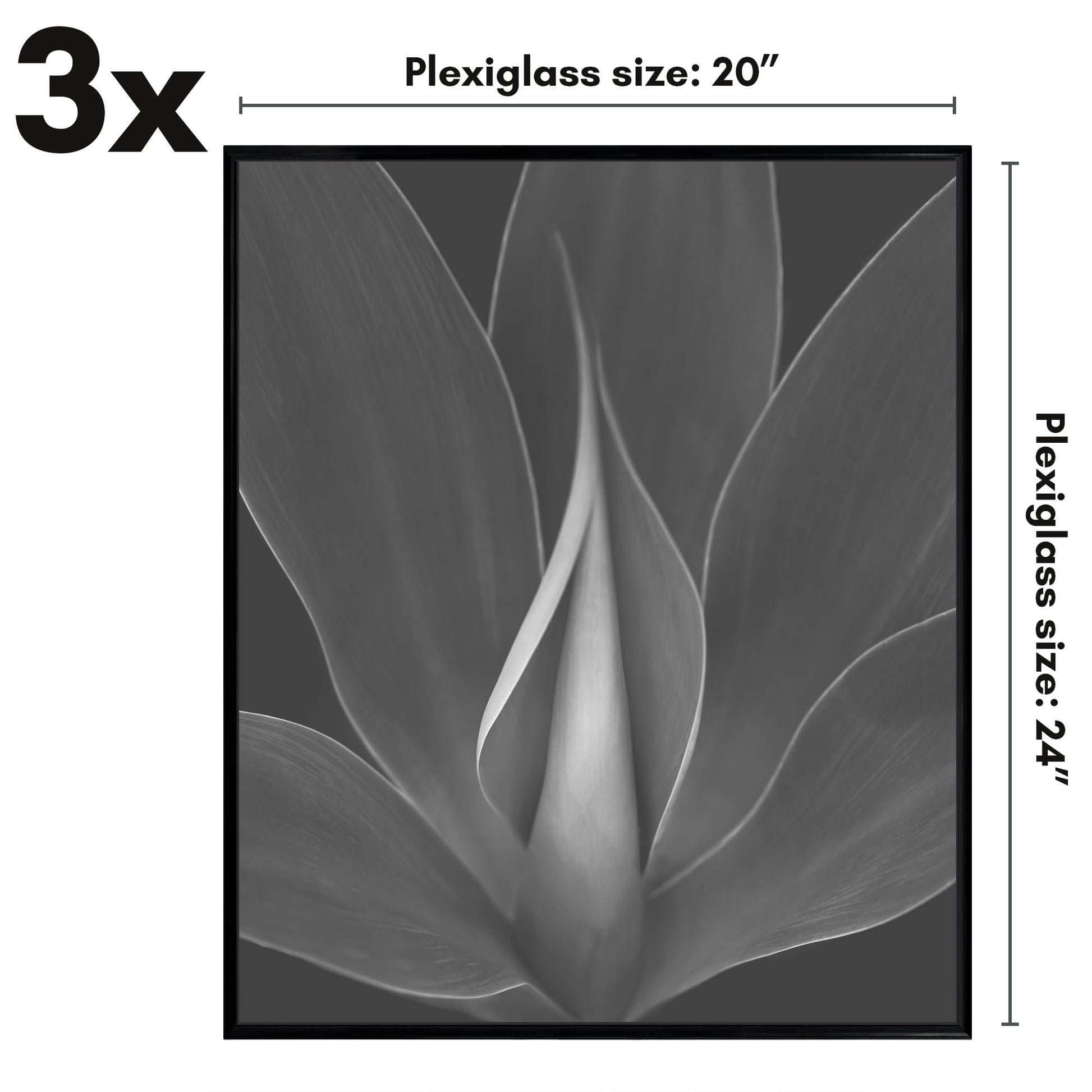 SIFBLK20243PK