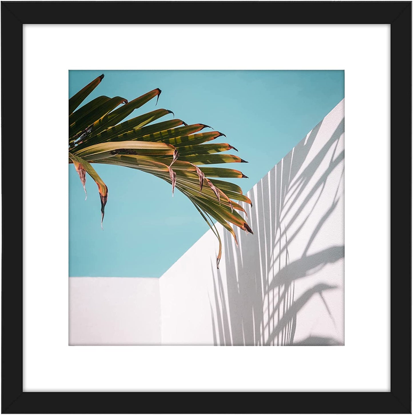 Picture Frame | Includes Mat | Slim Molding | Streamline Collection