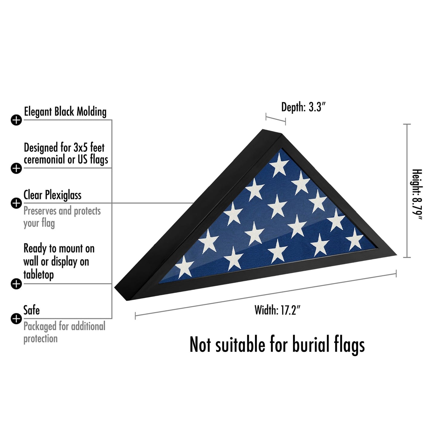 FLAGCASEBLKSMALL