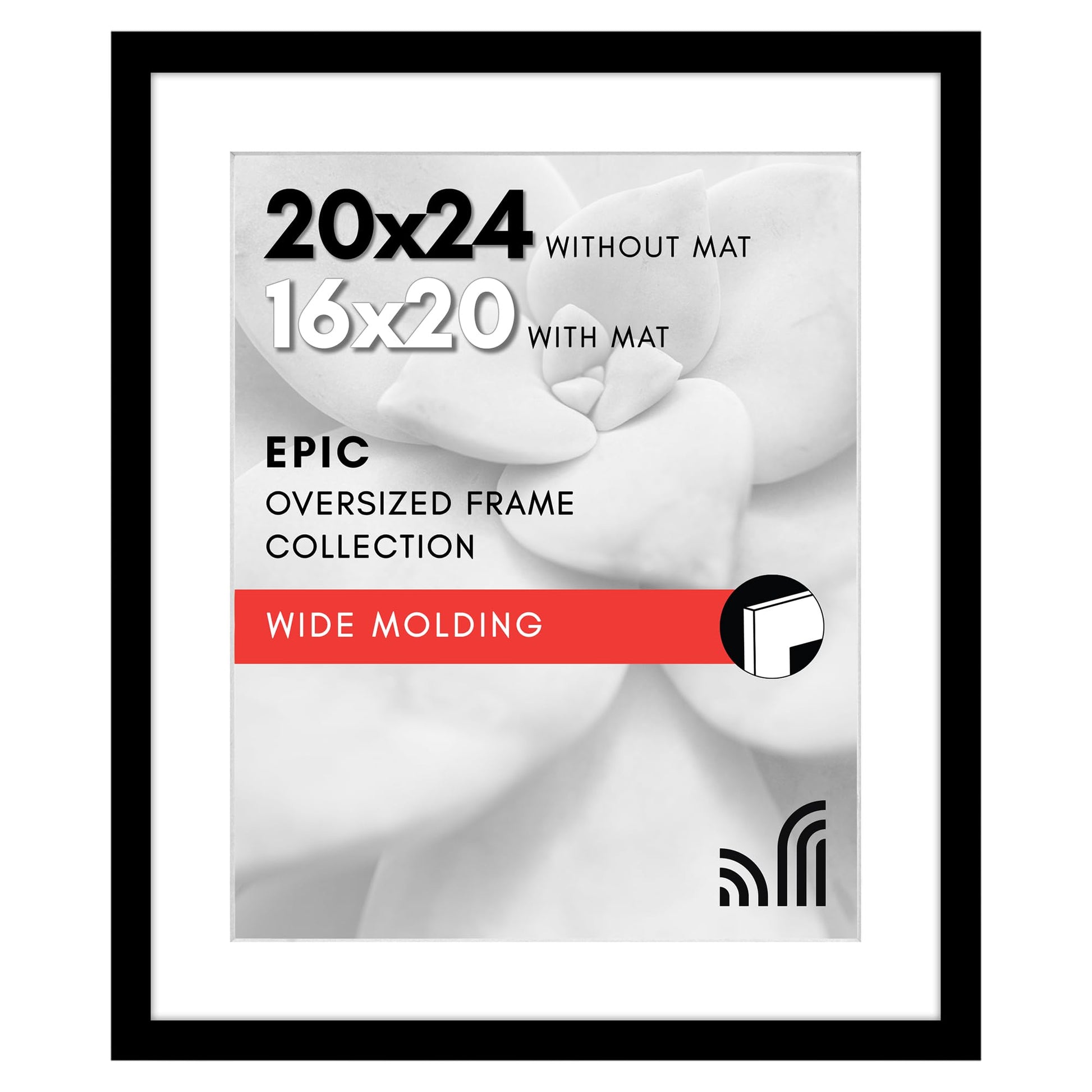 WB2024BLK1620