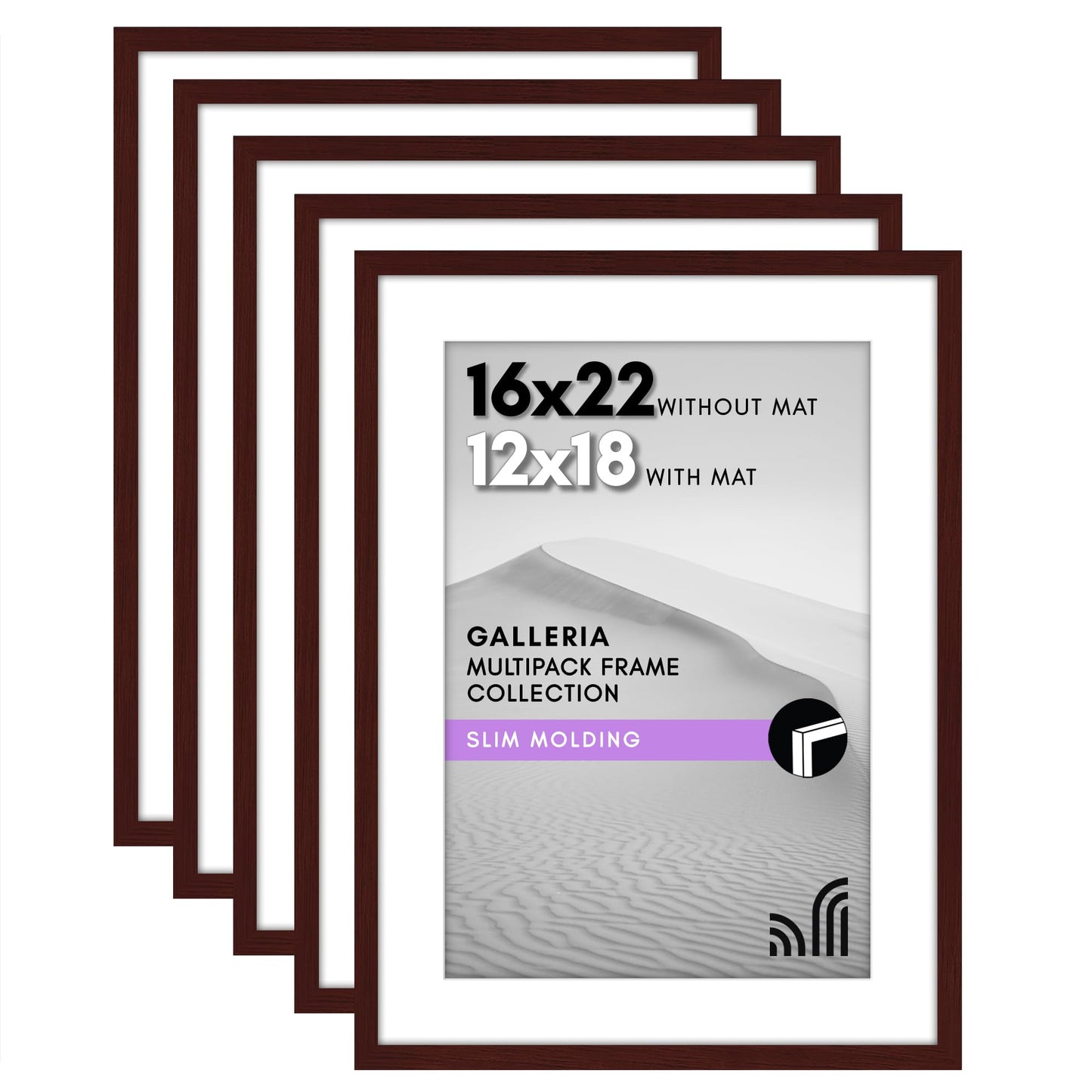 Classic Gallery Picture Frame | Set of 5 | Galleria Collection | Includes Mat