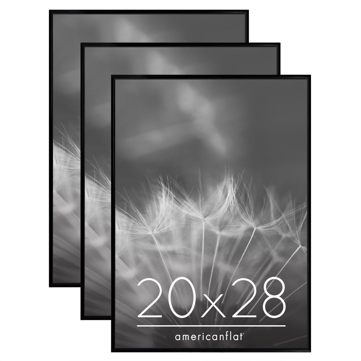 SIFBLK20283PK