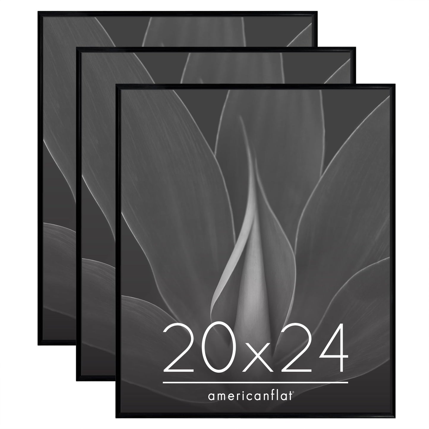 SIFBLK20243PK