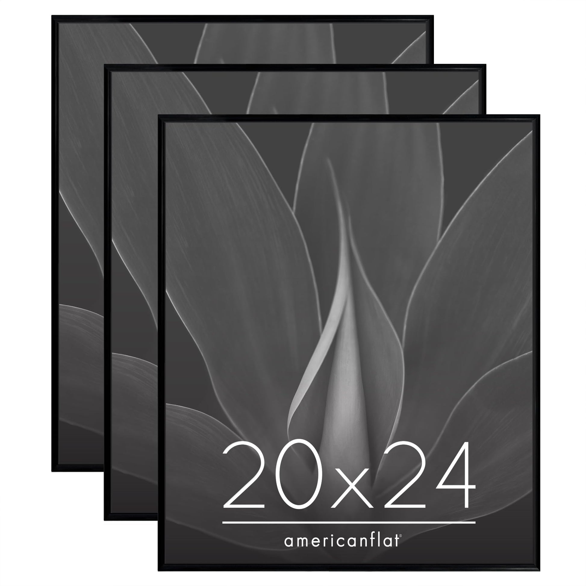 SIFBLK20243PK