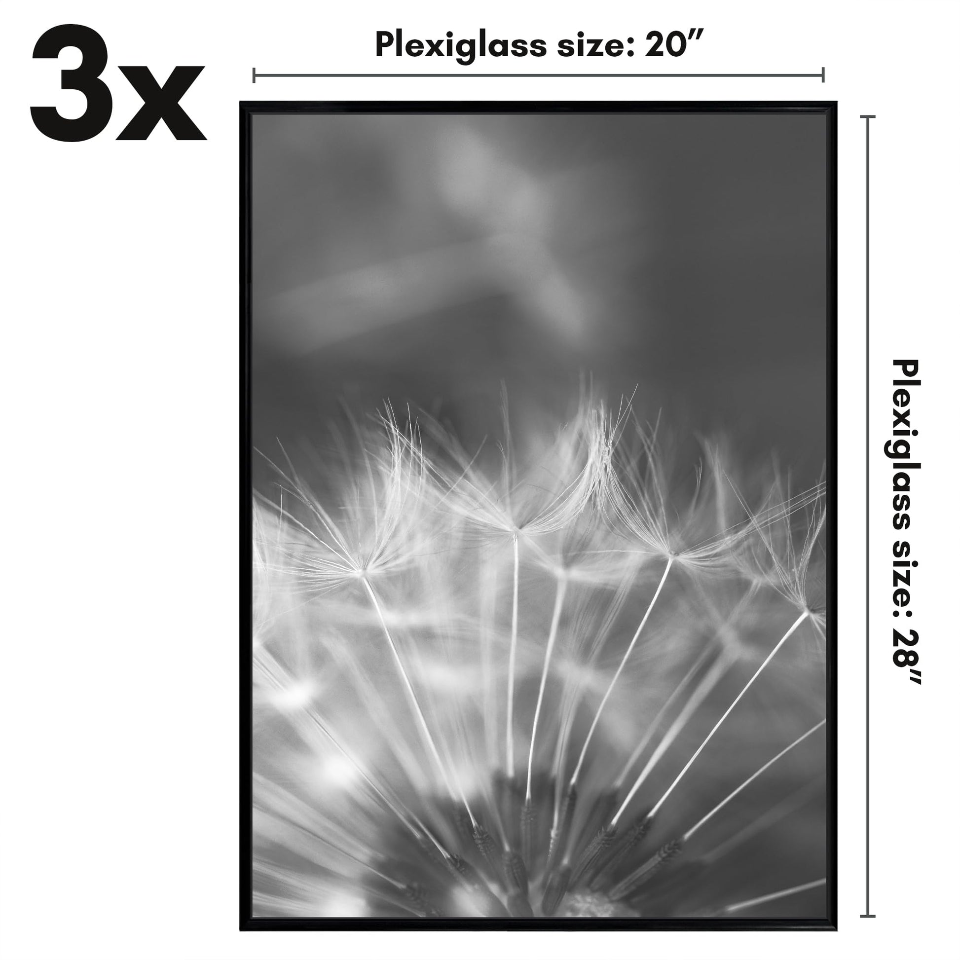 SIFBLK20283PK