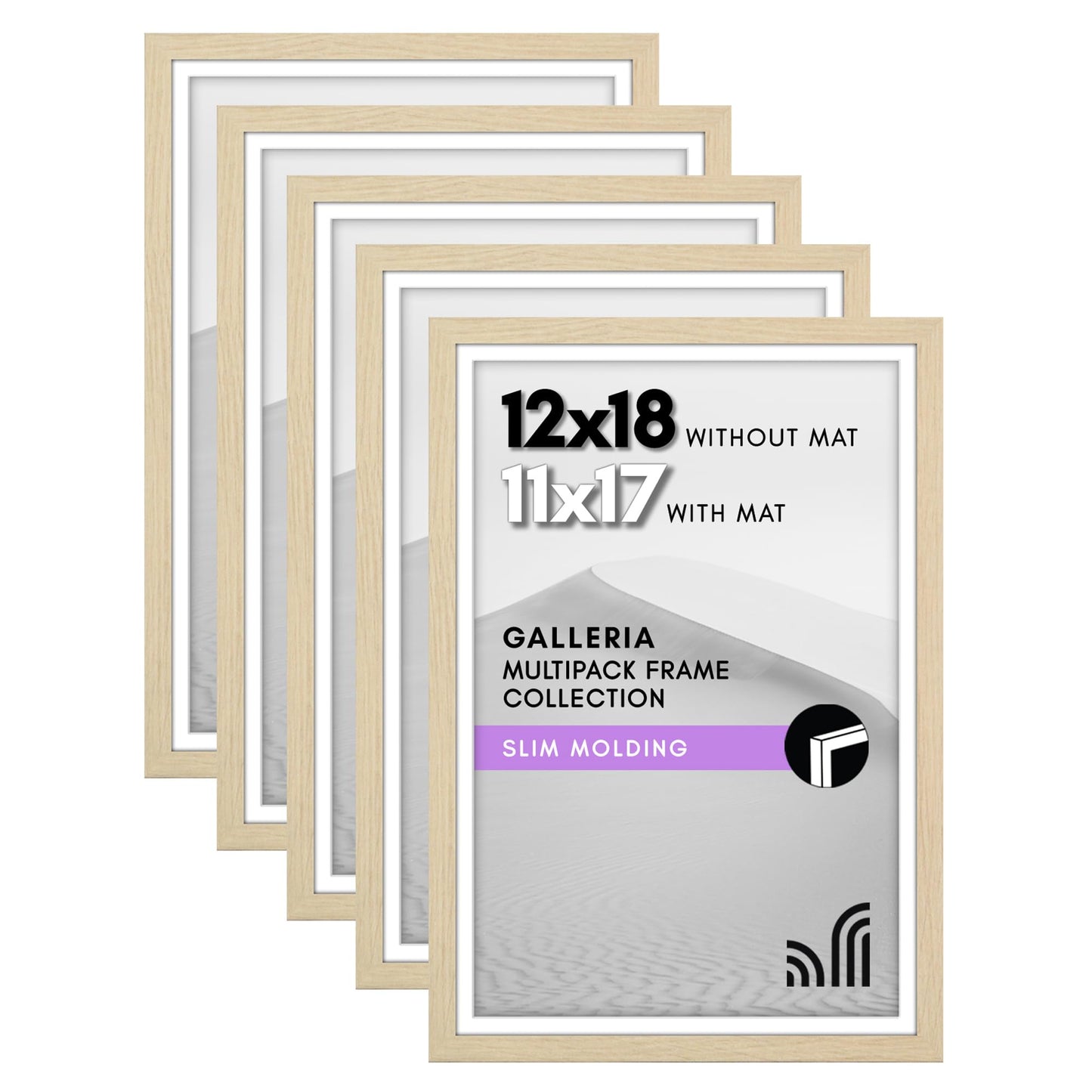 Classic Gallery Picture Frame | Set of 5 | Galleria Collection | Includes Mat