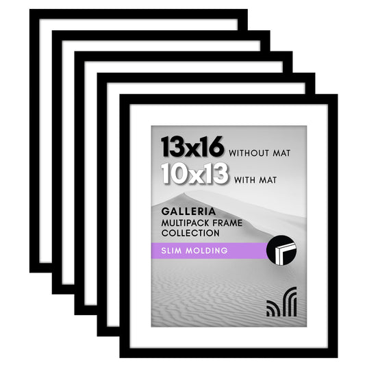 Classic Gallery Picture Frame | Set of 5 | Galleria Collection | Includes Mat