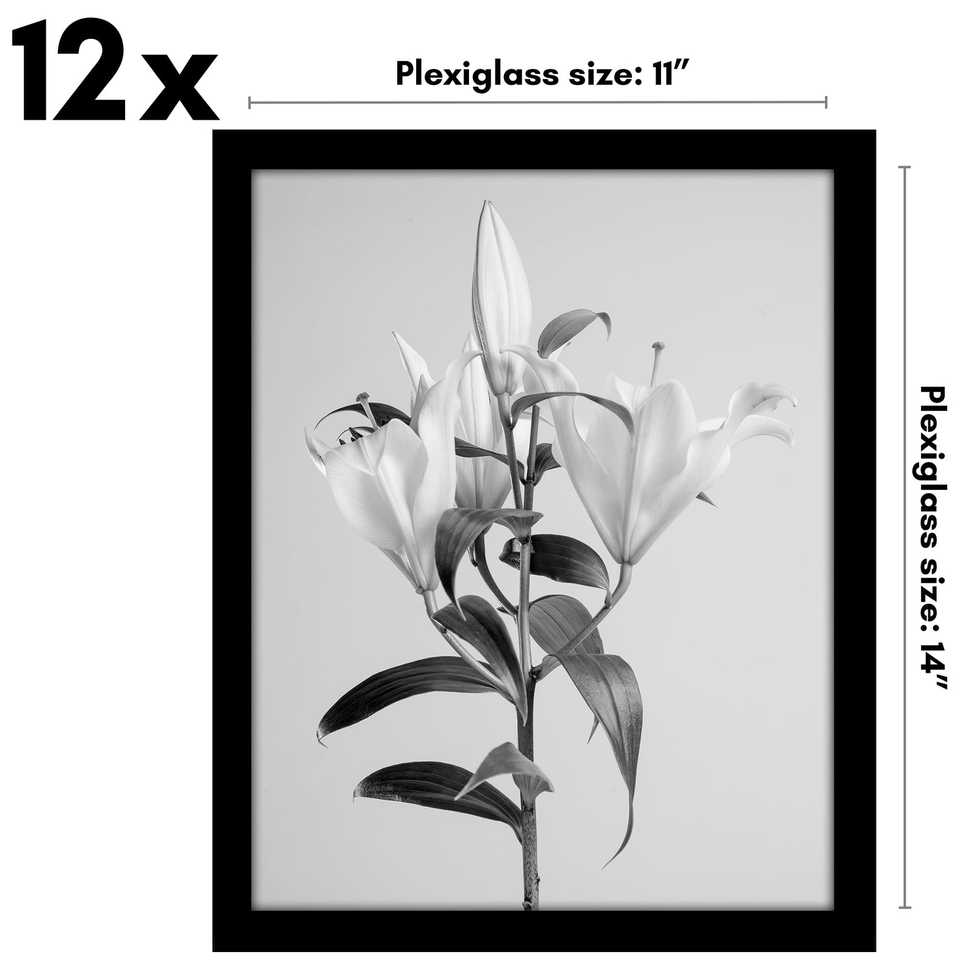 GSK1114BLK12PK