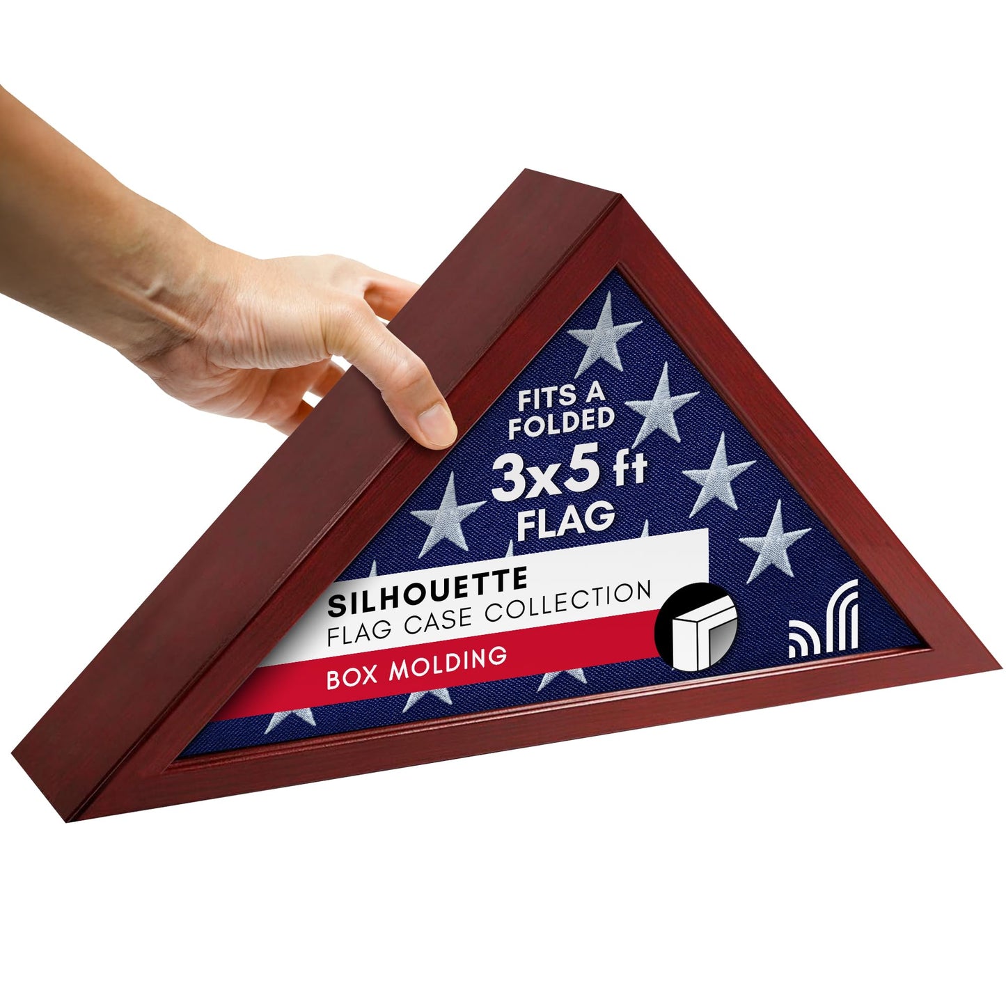 FLAGCASEBRSMALL