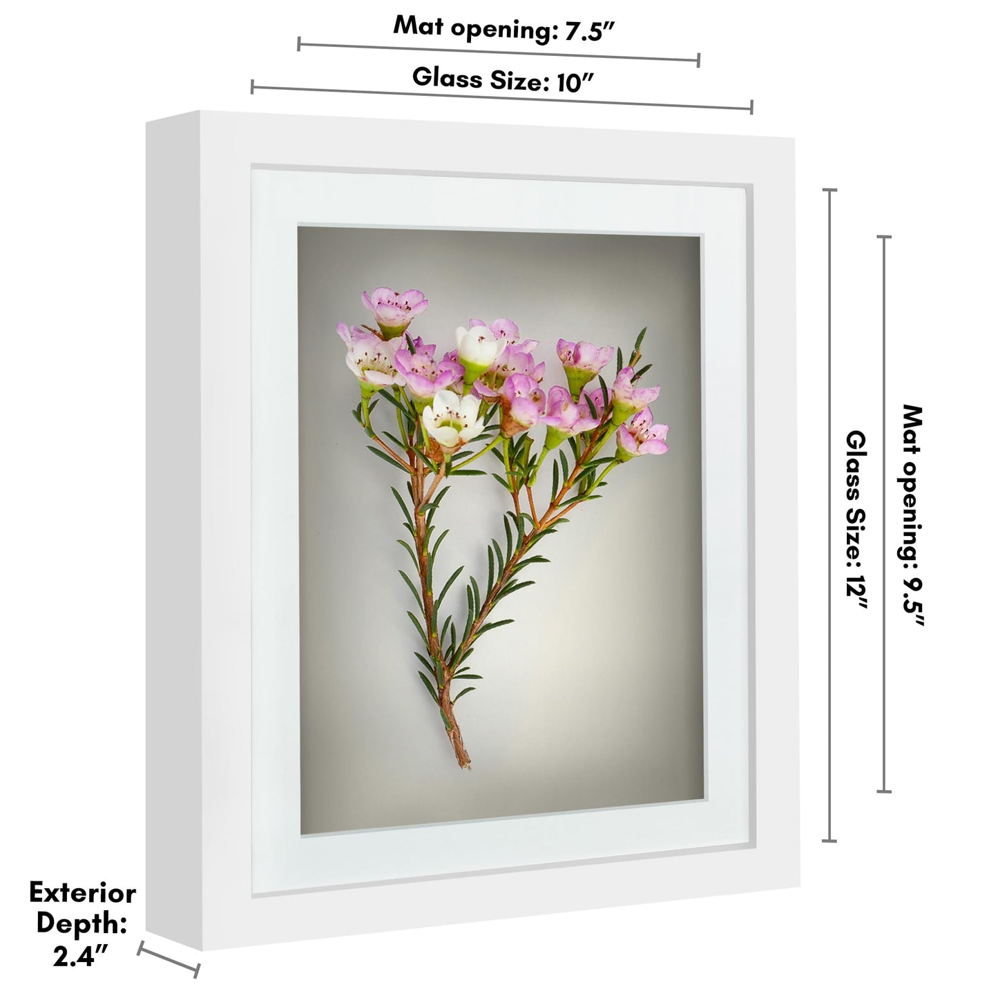 SB1012WHT810