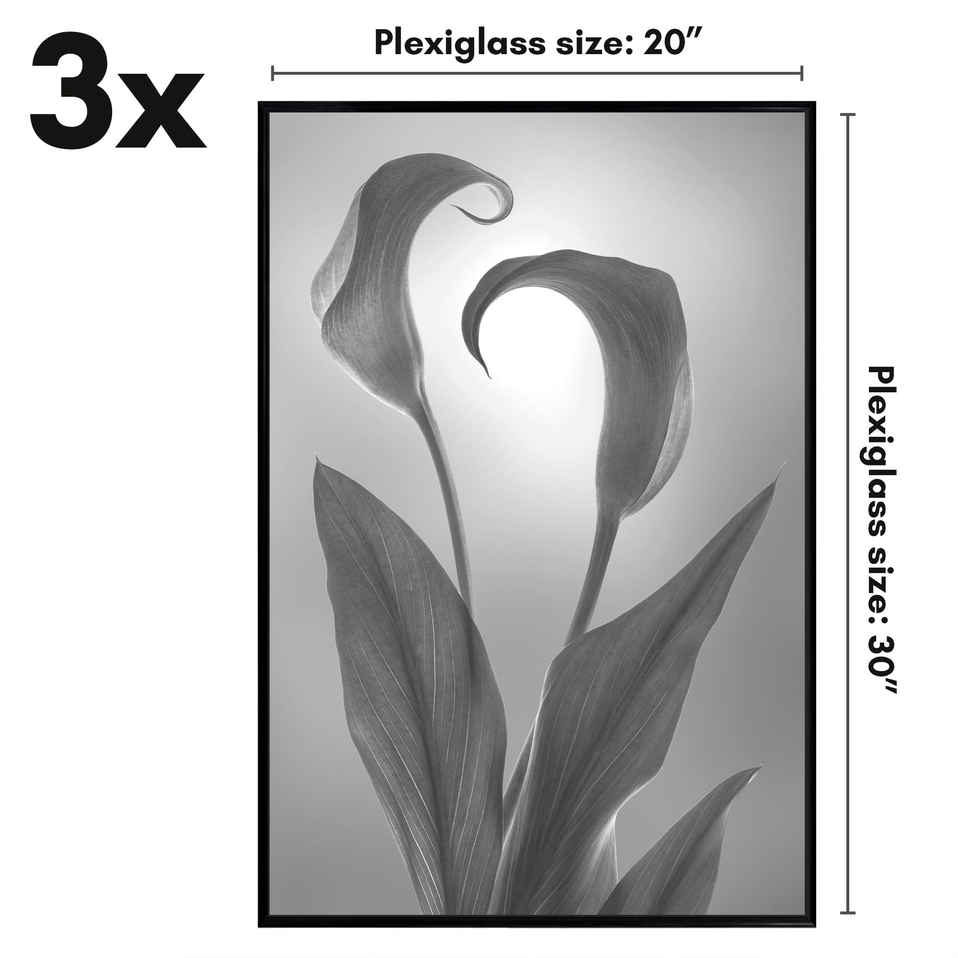 SIFBLK20303PK