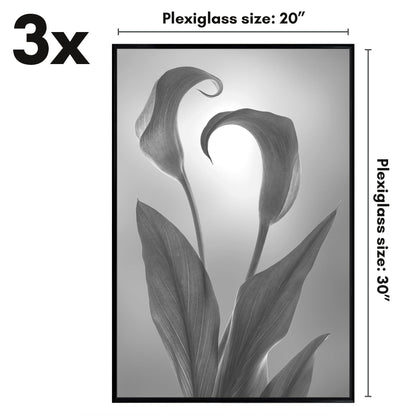 SIFBLK20303PK