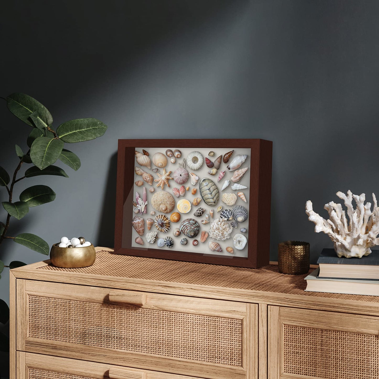 Lockable Jersey Display Case | All-Star Collection | With Hanger | Modern Decor