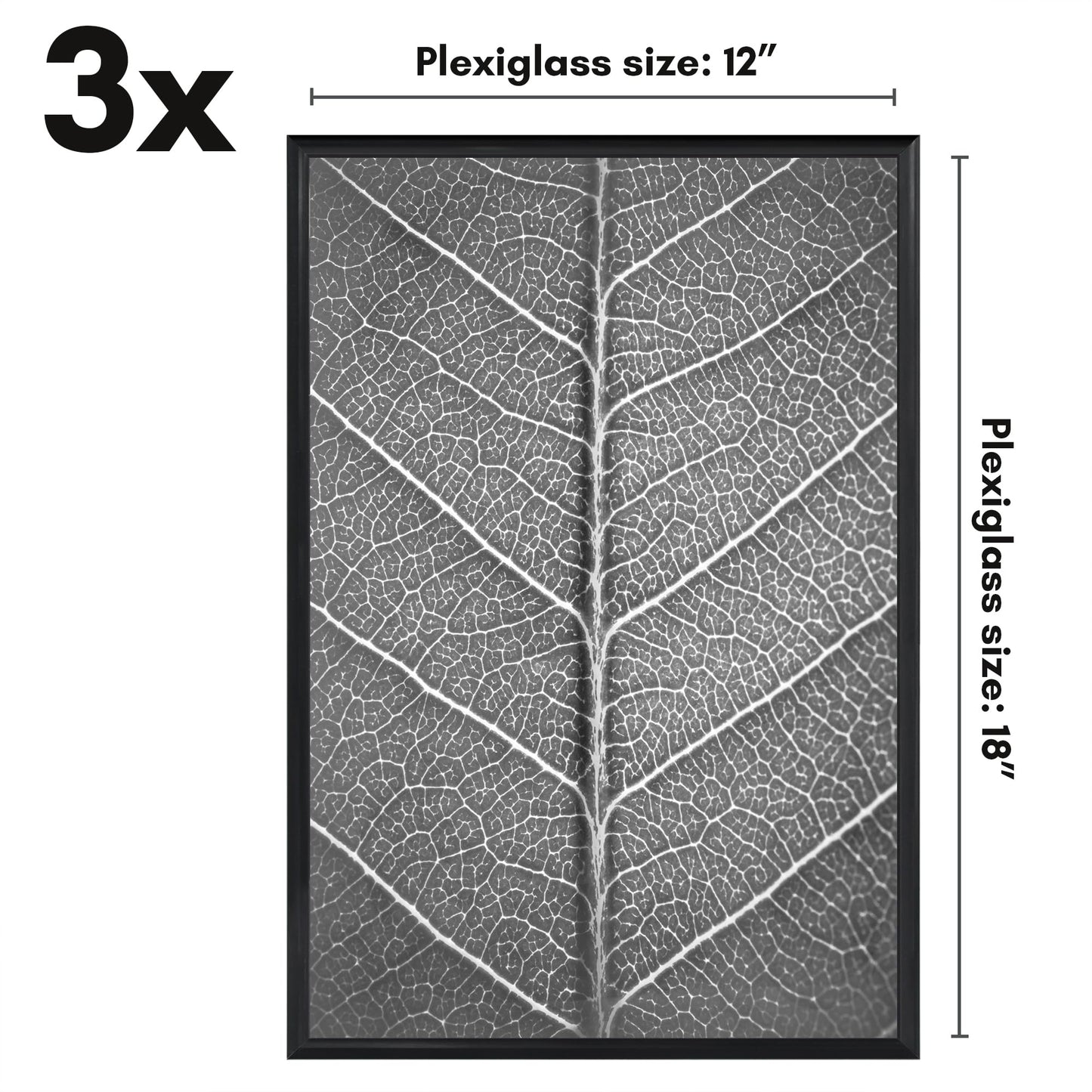 SIFBLK12183PK